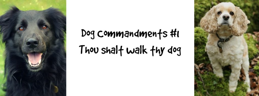 dogcommandments1
