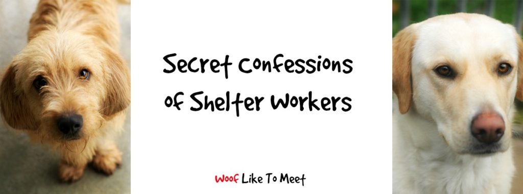 secretconfessions
