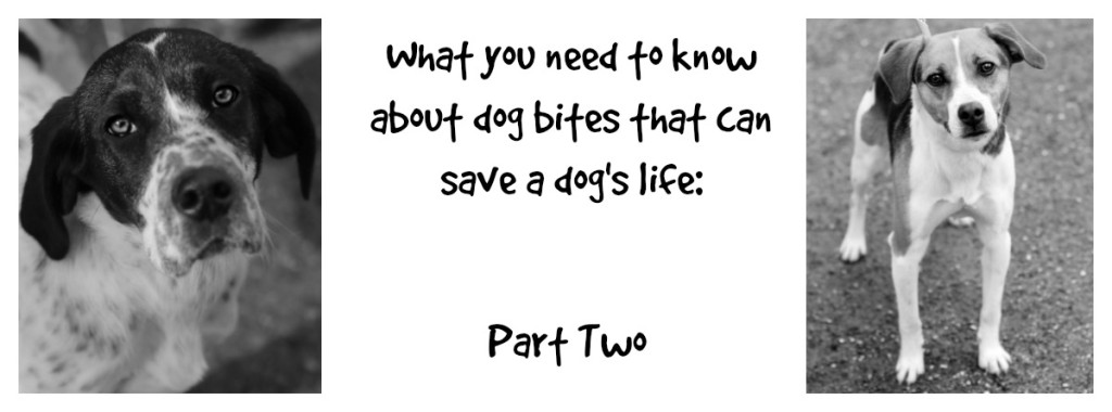 FBpostdogbites
