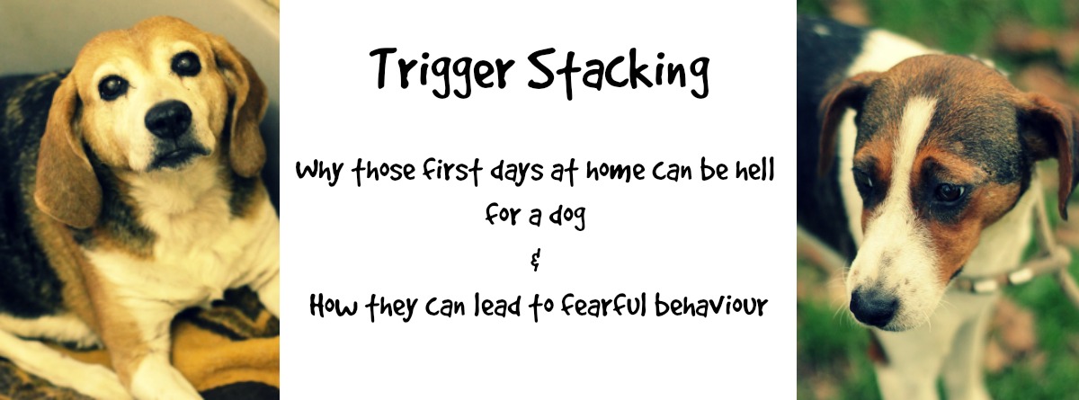 FBpage trigger stacking
