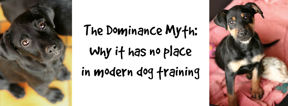 Oh yes, it's a brief history of the nodding dog