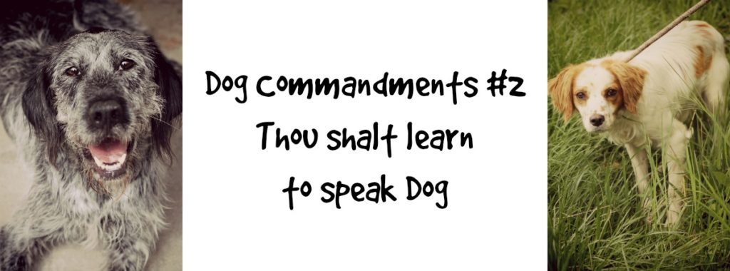 dogcommandments#2