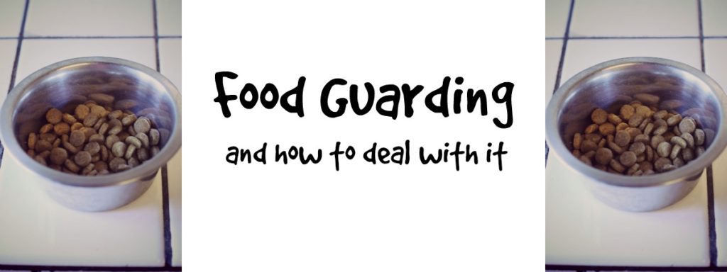 foodguarding