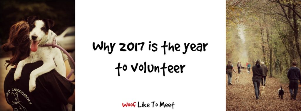 volunteer