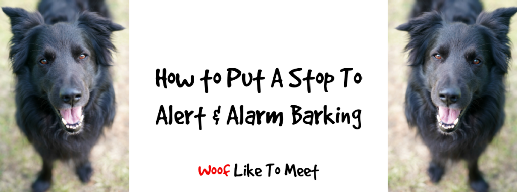 How to put a stop to alert and alarm Barking